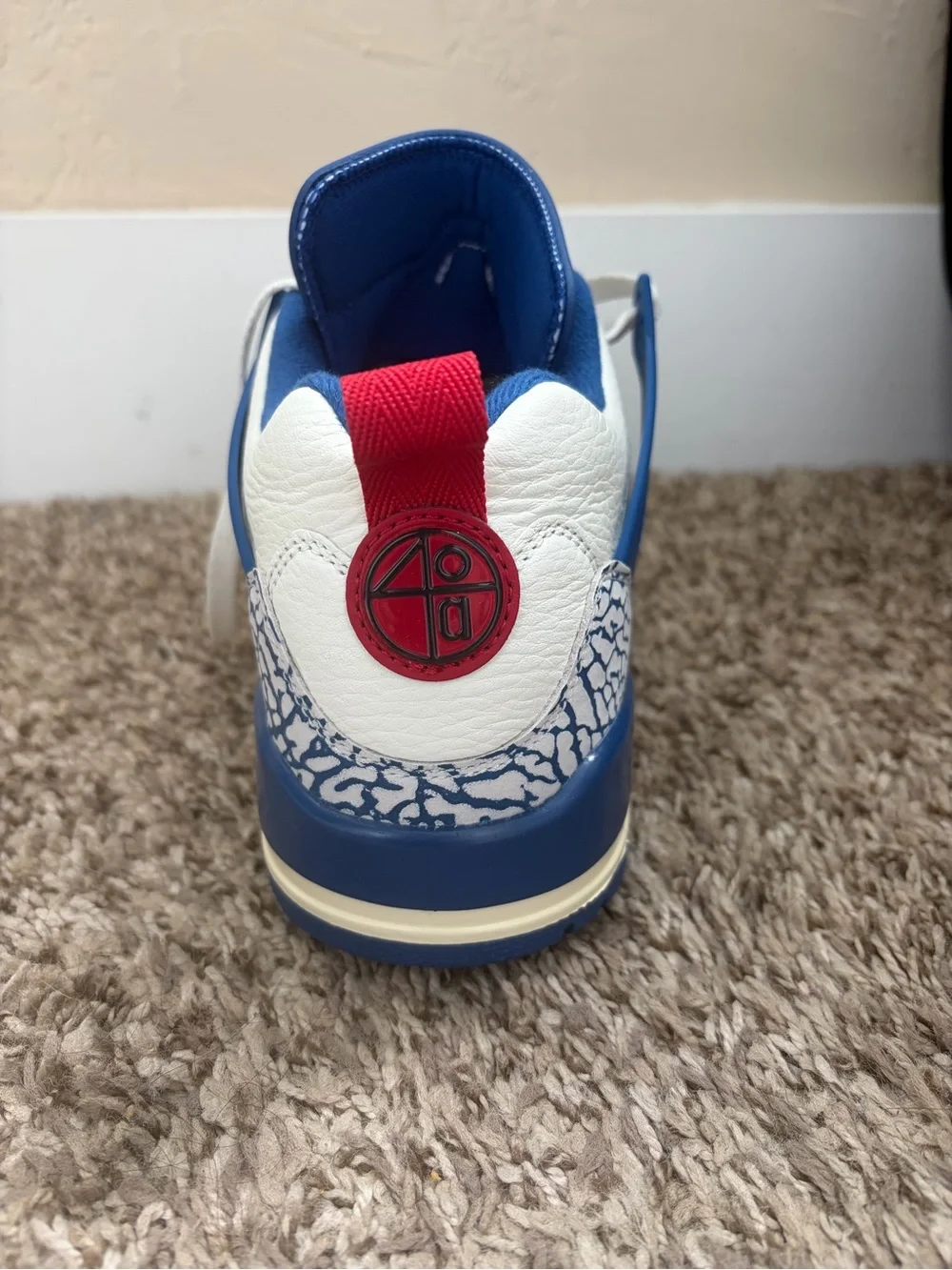 Men’s Jordan Spizike Low